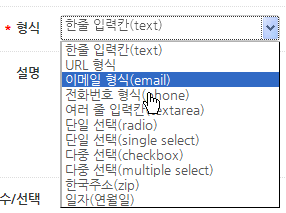 입력 형식